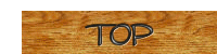 ＴＯＰ